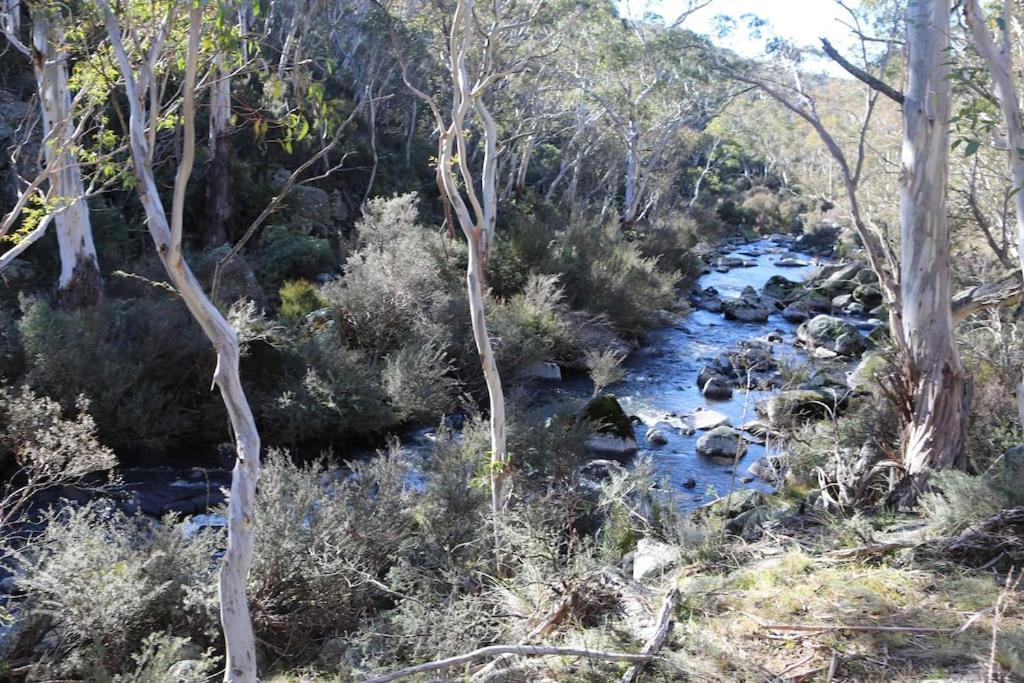 Big Yard Escapes - Two Off-Grid Tiny Houses On The Mowamba River Jindabyne Eksteriør bilde