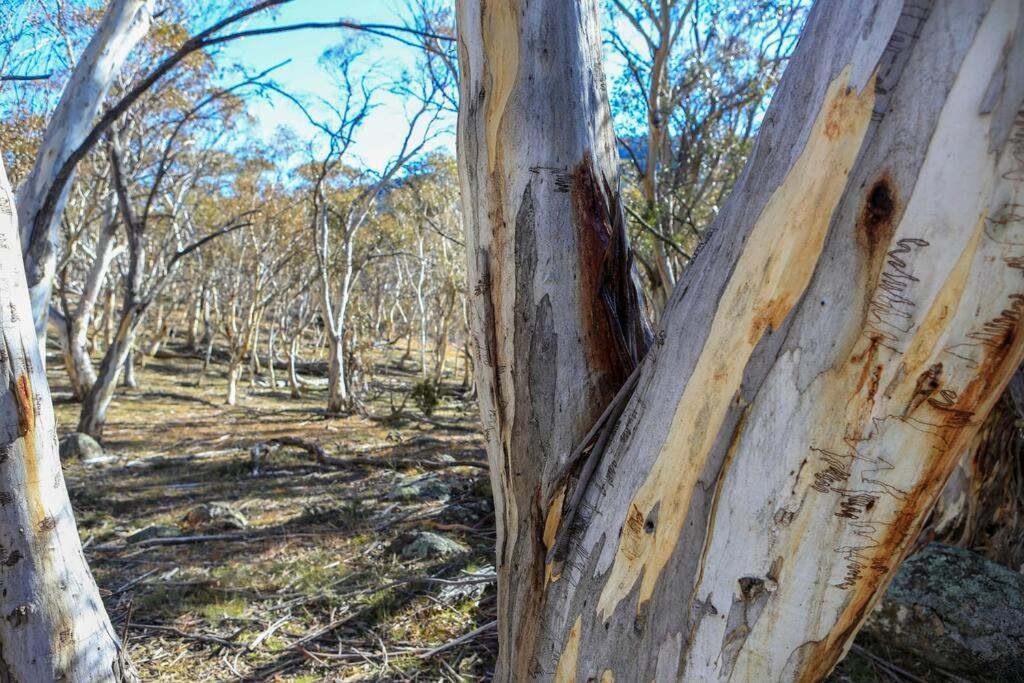 Big Yard Escapes - Two Off-Grid Tiny Houses On The Mowamba River Jindabyne Eksteriør bilde