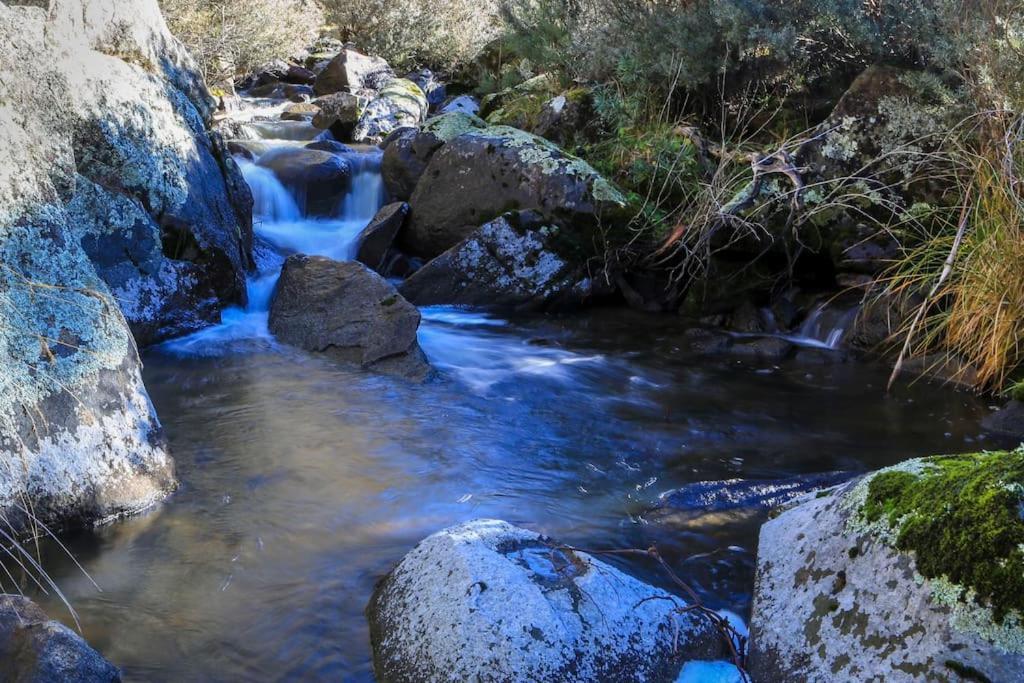 Big Yard Escapes - Two Off-Grid Tiny Houses On The Mowamba River Jindabyne Eksteriør bilde