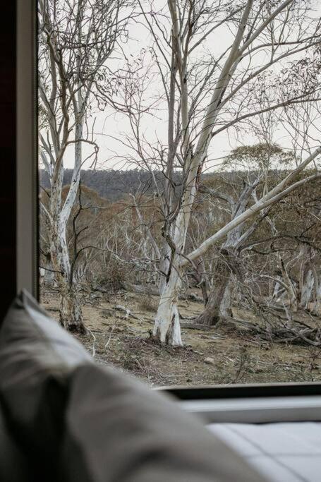 Big Yard Escapes - Two Off-Grid Tiny Houses On The Mowamba River Jindabyne Eksteriør bilde