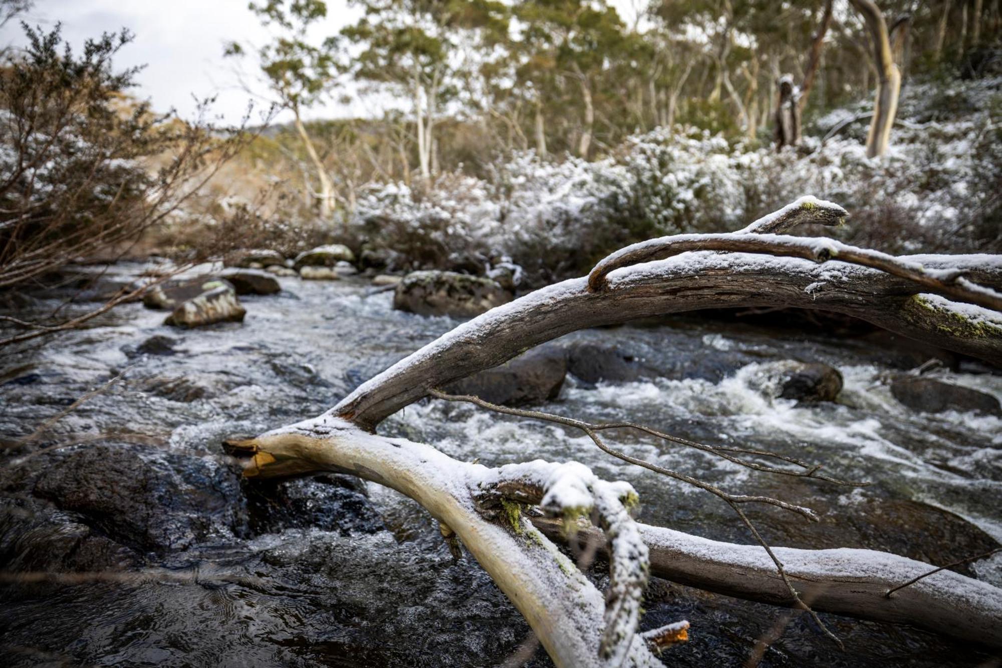 Big Yard Escapes - Two Off-Grid Tiny Houses On The Mowamba River Jindabyne Eksteriør bilde
